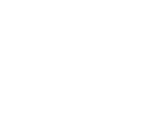 LOGO_KOLESTON