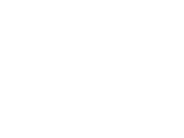 LOGO_MAESTRO_DOBEL