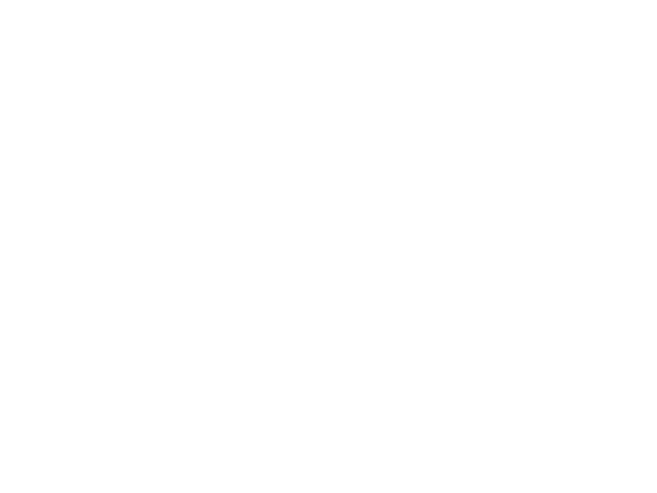 LOGO_YOUNGLIONS